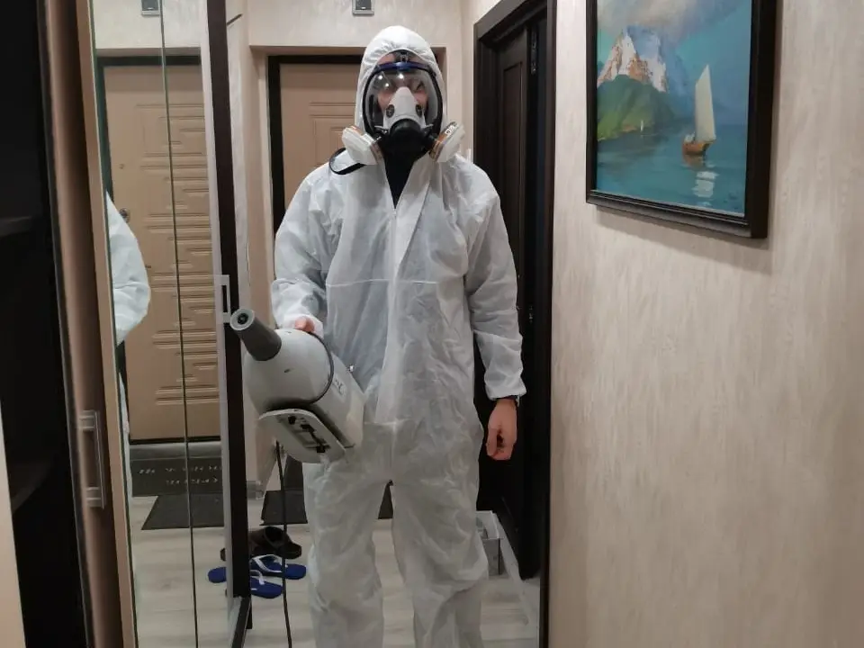 Профессиональная дезинсекция бытовых и сезонных насекомых